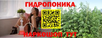 прущая мука Гай